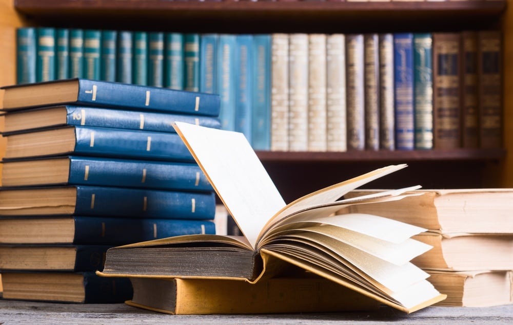 Artigo sobre Nova Lei